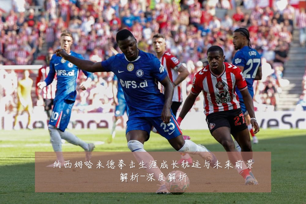 纳西姆哈米德拳击生涯成长轨迹与未来前景解析-深度解析